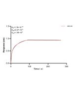 DSG1 Recombinant monoclonal antibody, PBS Only 84053-3-PBS proteintech