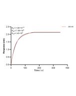 ABCC10 Recombinant monoclonal antibody, PBS Only (Capture/Detector) 84164-3-PBS proteintech