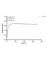 CD8B Recombinant monoclonal antibody, PBS Only (Detector) 84240-1-PBS proteintech