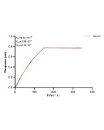 IVNS1ABP Recombinant monoclonal antibody, PBS Only (Capture) 84268-2-PBS proteintech