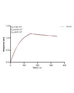 MCTS1 Recombinant monoclonal antibody, PBS Only (Capture/Detector) 84312-3-PBS proteintech
