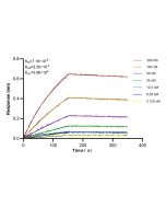 CLUH Recombinant monoclonal antibody, PBS Only 84321-4-PBS proteintech