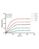 IL-4RA/CD124 Recombinant monoclonal antibody, PBS Only 84414-4-PBS proteintech