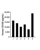 CD100 Recombinant monoclonal antibody, PBS Only (Detector) 84465-6-PBS proteintech