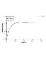 SAE1 Recombinant monoclonal antibody, PBS Only 84516-4-PBS proteintech