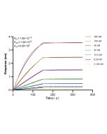 CORO1A Recombinant monoclonal antibody, PBS Only 84602-5-PBS proteintech