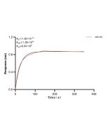 CD107a / LAMP1 Recombinant monoclonal antibody, PBS Only 84658-5-PBS proteintech