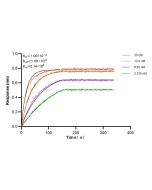 CD300a Recombinant monoclonal antibody 84674-4-RR proteintech