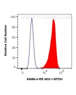 AEG-1/MTDH Recombinant monoclonal antibody 84686-4-RR proteintech