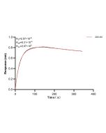 CACNB3 Recombinant monoclonal antibody, PBS Only (Detector) 84762-2-PBS proteintech