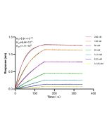 BCL3 Recombinant monoclonal antibody, PBS Only 84882-5-PBS proteintech