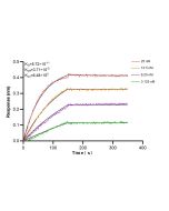 Mouse Galectin-3 Recombinant monoclonal antibody, PBS Only (Detector) 84889-3-PBS proteintech