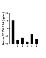 Mouse CD25/IL-2RA Recombinant monoclonal antibody, PBS Only (Detector) 84925-1-PBS proteintech