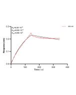 SNRNP200 Recombinant monoclonal antibody, PBS Only (Detector) 84992-4-PBS proteintech