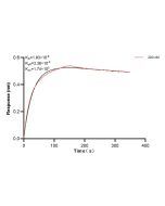 NOS3 Recombinant monoclonal antibody, PBS Only (Detector) 85020-2-PBS proteintech