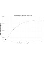 Mouse Foxp3 Recombinant monoclonal antibody, PBS Only (Capture) 85128-1-PBS proteintech