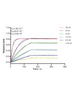 TCL1A Recombinant monoclonal antibody, PBS Only 85129-5-PBS proteintech