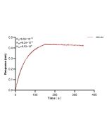 CDS2 Recombinant monoclonal antibody, PBS Only (Detector) 85162-1-PBS proteintech