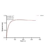 KIR3DL1/CD158E Recombinant monoclonal antibody, PBS Only (Capture) 85600-3-PBS proteintech