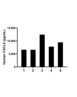 CXCL5 Recombinant monoclonal antibody, PBS Only (Capture/Detector) 85606-1-PBS proteintech