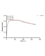 SRPK2 Recombinant monoclonal antibody, PBS Only (Capture) 85613-3-PBS proteintech