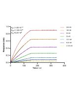 LRAT Recombinant monoclonal antibody, PBS Only 85628-1-PBS proteintech