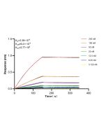 B3GNT3 Recombinant monoclonal antibody, PBS Only 85713-1-PBS proteintech