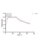 TMOD3 Recombinant monoclonal antibody, PBS Only (Detector) 85756-2-PBS proteintech