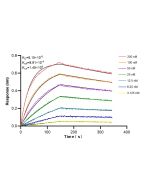 HIC5 Recombinant monoclonal antibody 85859-5-RR proteintech