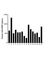 LGALS3BP Recombinant monoclonal antibody, PBS Only (Capture) 85883-7-PBS proteintech