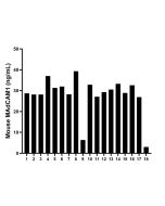 Mouse MAdCAM-1 Recombinant monoclonal antibody, PBS Only (Detector) 85887-4-PBS proteintech