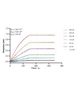 Mouse TIMP1 Recombinant monoclonal antibody, PBS Only 85959-1-PBS proteintech