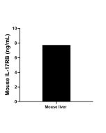 Mouse Il17rb Recombinant monoclonal antibody, PBS Only (Detector) 85961-2-PBS proteintech