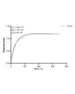 NPTXR Recombinant monoclonal antibody, PBS Only (Detector) 85994-2-PBS proteintech