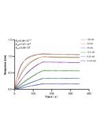 Peripherin Recombinant monoclonal antibody, PBS Only (Detector) 86057-1-PBS proteintech