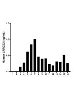 LRRC32 Recombinant monoclonal antibody, PBS Only (Detector) 86059-3-PBS proteintech