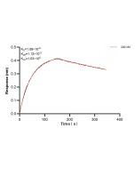 LAMP2/ CD107b Recombinant monoclonal antibody, PBS Only (Capture) 86269-5-PBS proteintech