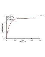 LY75/CD205 Recombinant monoclonal antibody, PBS Only (Capture) 86342-4-PBS proteintech