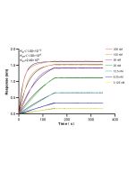 WDR24 Recombinant monoclonal antibody 86464-1-RR proteintech