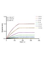 WRAP53 Recombinant monoclonal antibody, PBS Only 86487-1-PBS proteintech