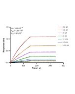 LRPPRC Recombinant monoclonal antibody 86616-2-RR proteintech