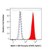 Phospho-STAT6 (Tyr641) Recombinant monoclonal antibody 86641-1-RR proteintech