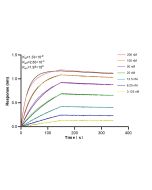 APEX1 Recombinant monoclonal antibody, PBS Only (Capture) 86719-3-PBS proteintech