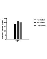 SAMHD1 Recombinant monoclonal antibody, PBS Only (Capture) 86798-4-PBS proteintech