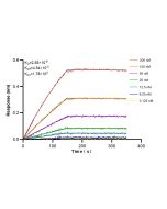 TFCP2 Recombinant monoclonal antibody, PBS Only 86807-1-PBS proteintech