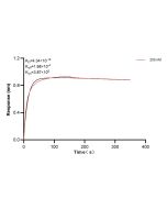 LRRN4 Recombinant monoclonal antibody, PBS Only (Detector) 86810-1-PBS proteintech