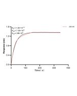 IGJ Recombinant monoclonal antibody, PBS Only (Detector) 86939-5-PBS proteintech
