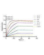 MYST3 Recombinant monoclonal antibody, PBS Only 86963-1-PBS proteintech