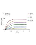FAM160B1 Recombinant monoclonal antibody 86980-1-RR proteintech
