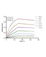 Integrin alpha 1/CD49a Recombinant monoclonal antibody 87056-3-RR proteintech